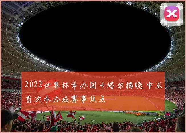 2022世界杯举办国卡塔尔揭晓 中东首次承办成赛事焦点