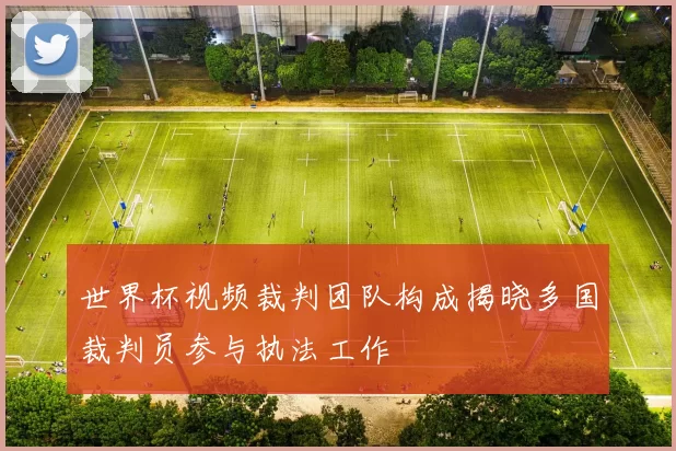 世界杯视频裁判团队构成揭晓多国裁判员参与执法工作
