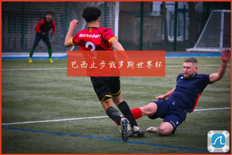 巴西止步俄罗斯世界杯